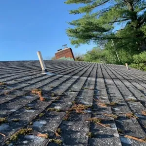 roofing prev